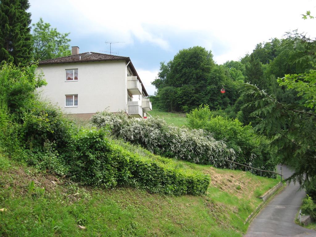 Schlossberg Ferienwohnung ヴァルデック エクステリア 写真