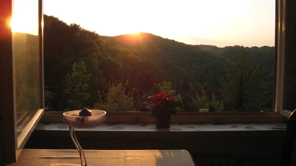 Schlossberg Ferienwohnung ヴァルデック 部屋 写真